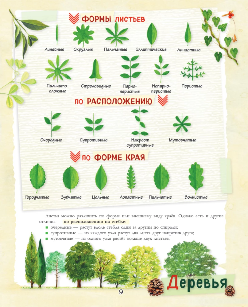 A Big Gift for a Boy. An Encyclopedia for Real Boys