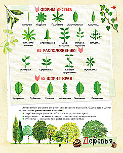 A Big Gift for a Boy. An Encyclopedia for Real Boys