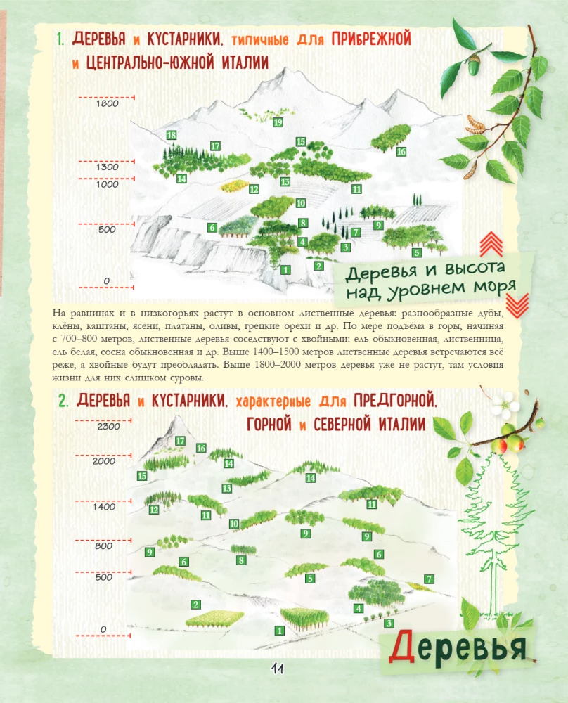 A Big Gift for a Girl. An Encyclopedia for Real Girls