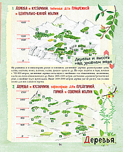 A Big Gift for a Girl. An Encyclopedia for Real Girls