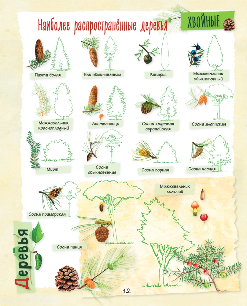 A Big Gift for a Girl. An Encyclopedia for Real Girls