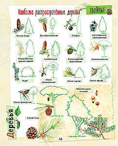 A Big Gift for a Girl. An Encyclopedia for Real Girls