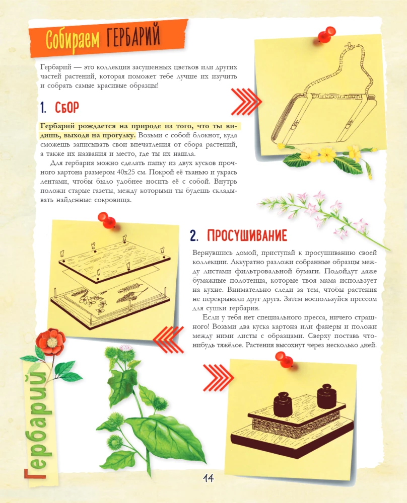 A Big Gift for a Girl. An Encyclopedia for Real Girls