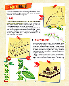 A Big Gift for a Girl. An Encyclopedia for Real Girls