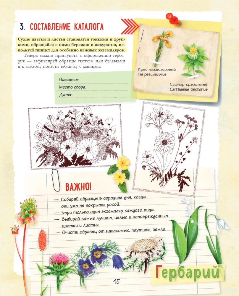 A Big Gift for a Girl. An Encyclopedia for Real Girls