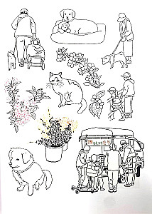 Pastaiga ar kaķīšiem pa burvīgo Seulu. Korejiešu krāsošana dvēselei