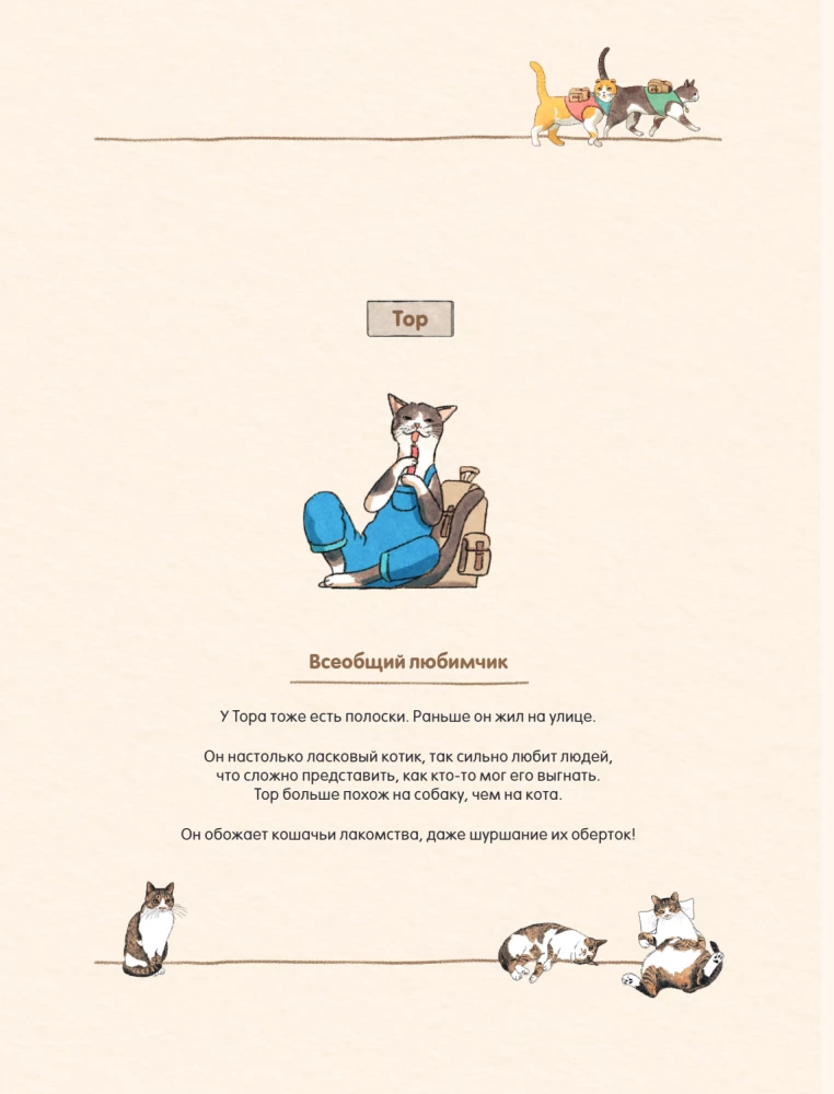 Pastaiga ar kaķīšiem pa burvīgo Seulu. Korejiešu krāsošana dvēselei