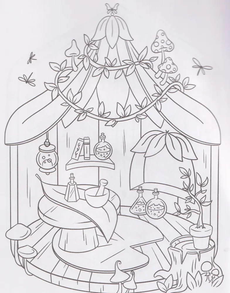 Võluveidrad: värviraamat