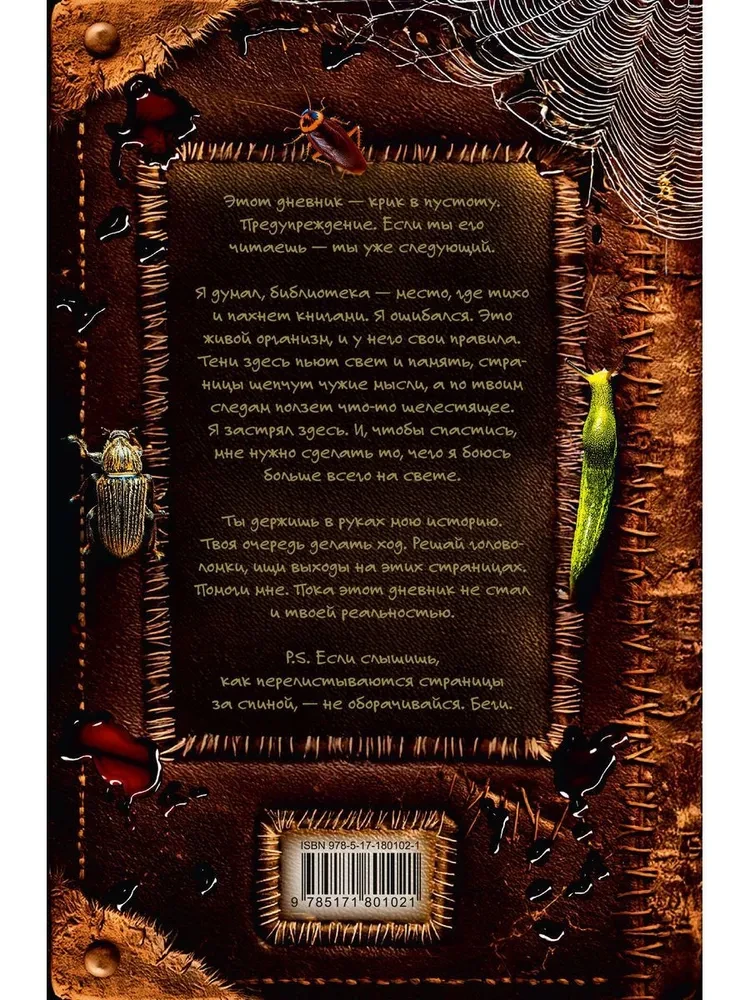 The Mysterious Diary