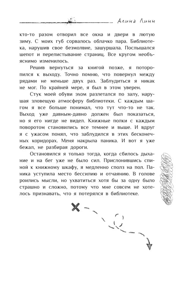 The Mysterious Diary