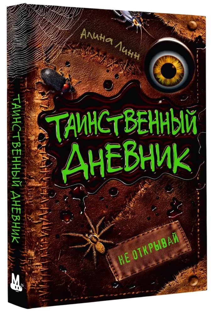 The Mysterious Diary