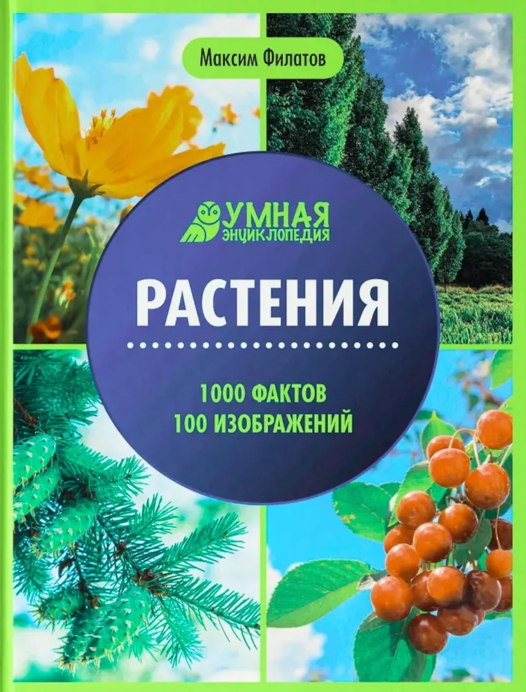 Растения