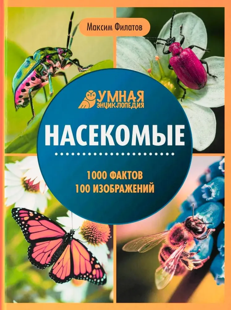 Насекомые