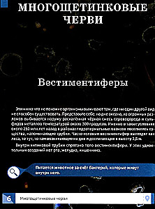 Niecodzienne zwierzęta