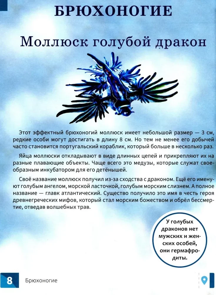 Niecodzienne zwierzęta