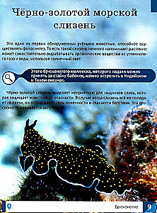 Niecodzienne zwierzęta