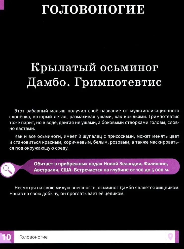 Niecodzienne zwierzęta