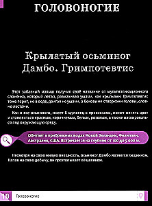 Niecodzienne zwierzęta