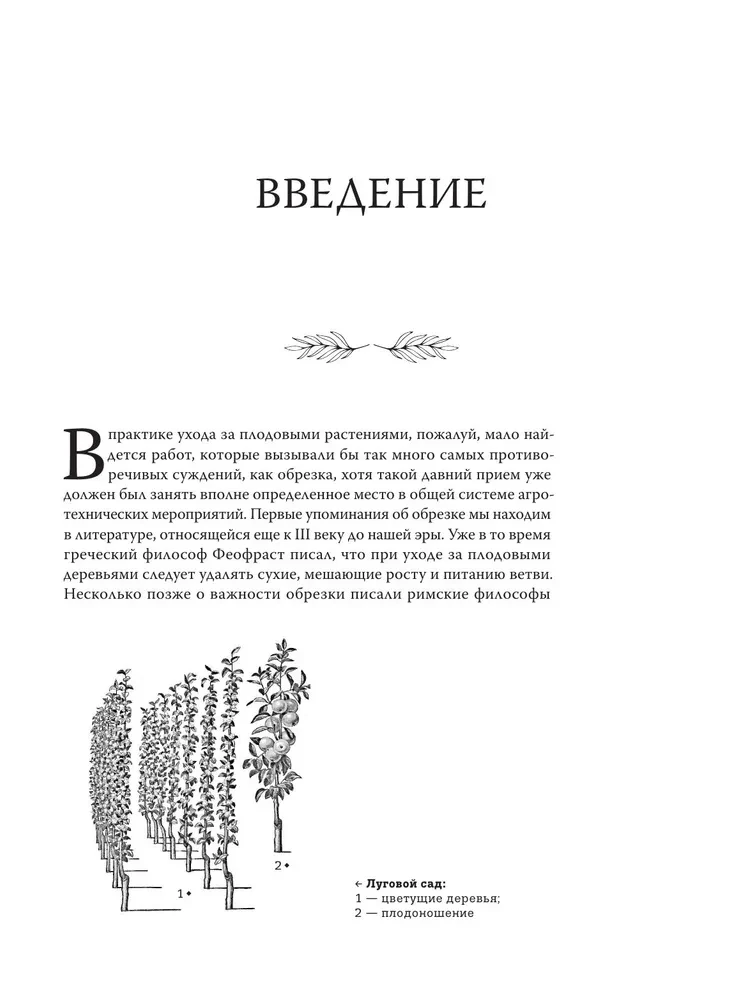 Pruning Fruit Trees: An Expert Guide to Creating a Fruit Orchard