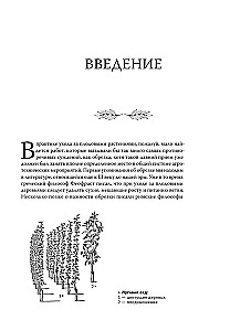 Pruning Fruit Trees: An Expert Guide to Creating a Fruit Orchard