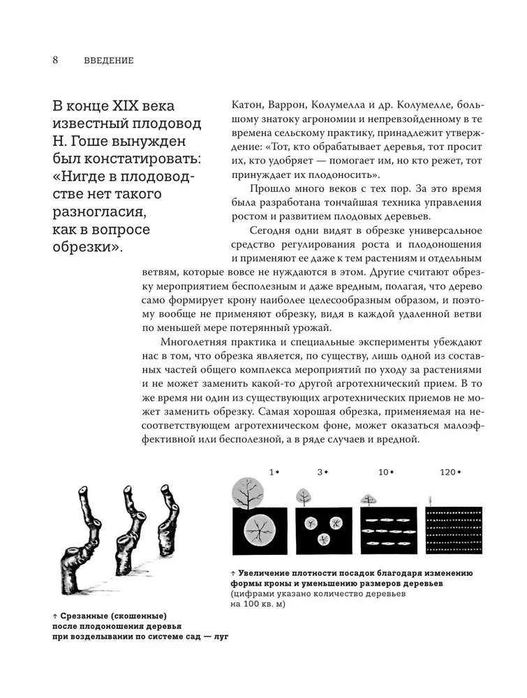 Pruning Fruit Trees: An Expert Guide to Creating a Fruit Orchard