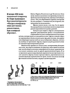 Pruning Fruit Trees: An Expert Guide to Creating a Fruit Orchard