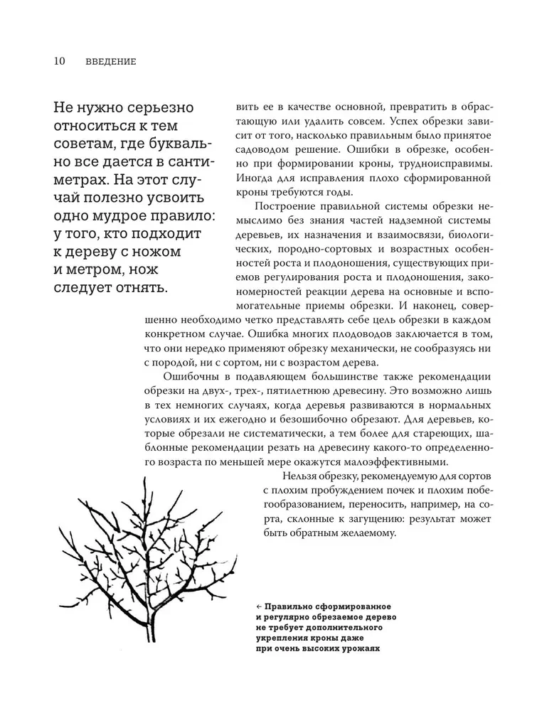 Pruning Fruit Trees: An Expert Guide to Creating a Fruit Orchard