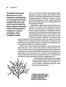 Pruning Fruit Trees: An Expert Guide to Creating a Fruit Orchard