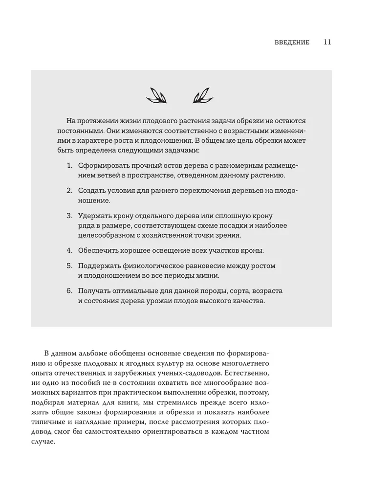 Pruning Fruit Trees: An Expert Guide to Creating a Fruit Orchard