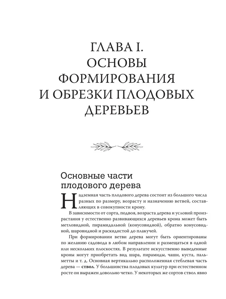 Pruning Fruit Trees: An Expert Guide to Creating a Fruit Orchard