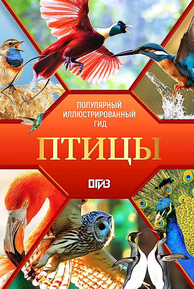 Birds. Illustrated Guide