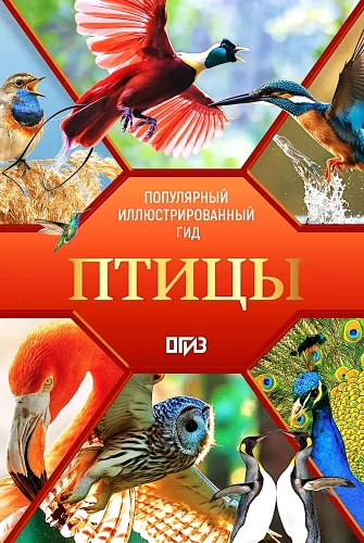 Birds. Illustrated Guide