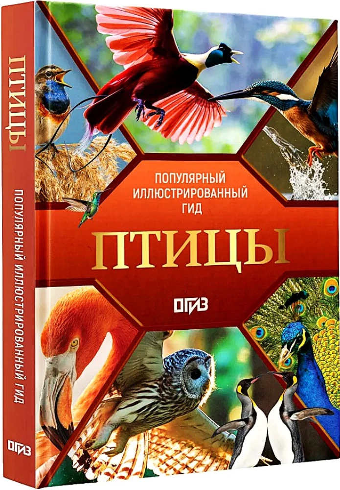 Birds. Illustrated Guide