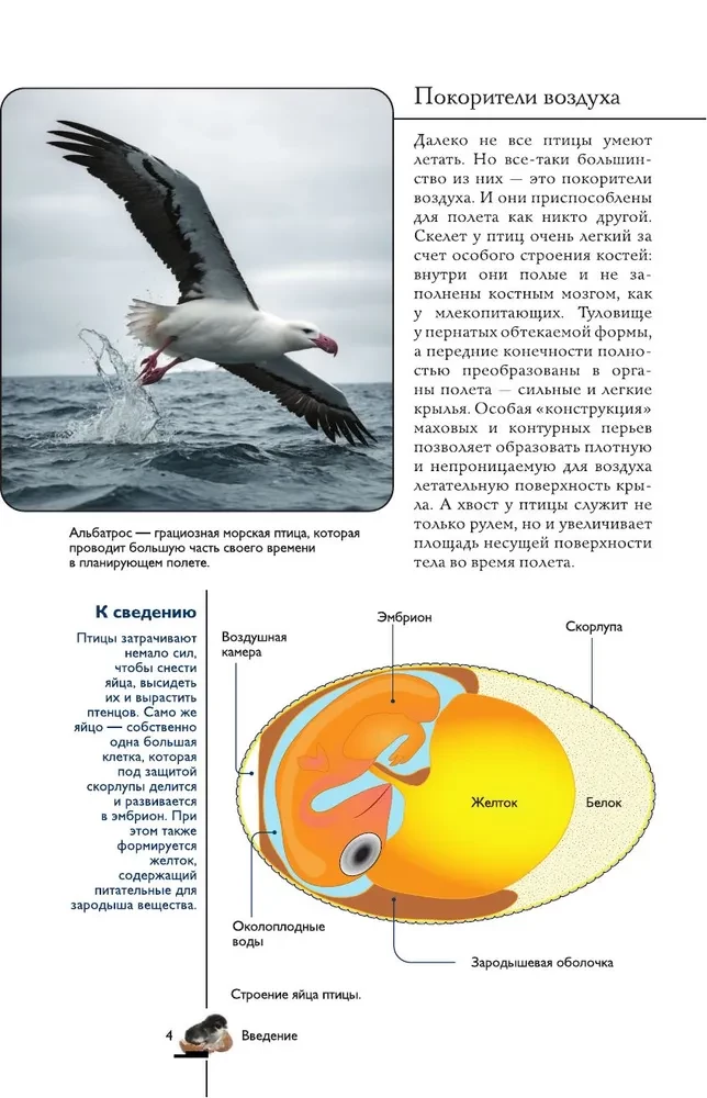 Birds. Illustrated Guide