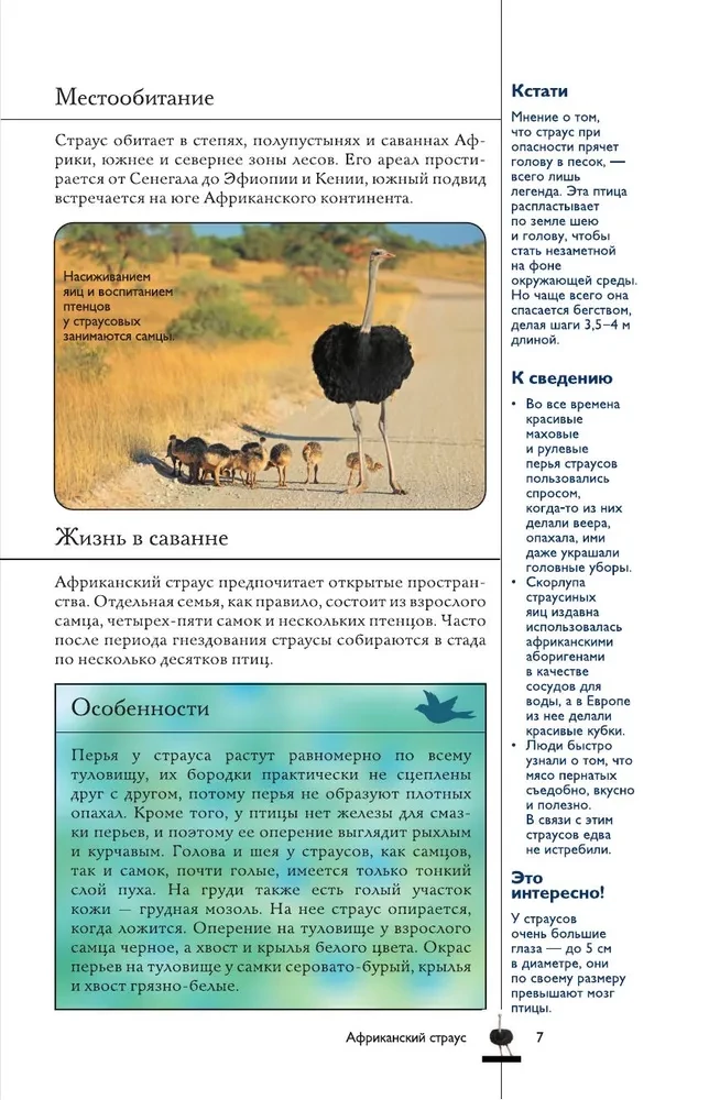 Birds. Illustrated Guide