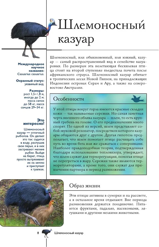 Birds. Illustrated Guide