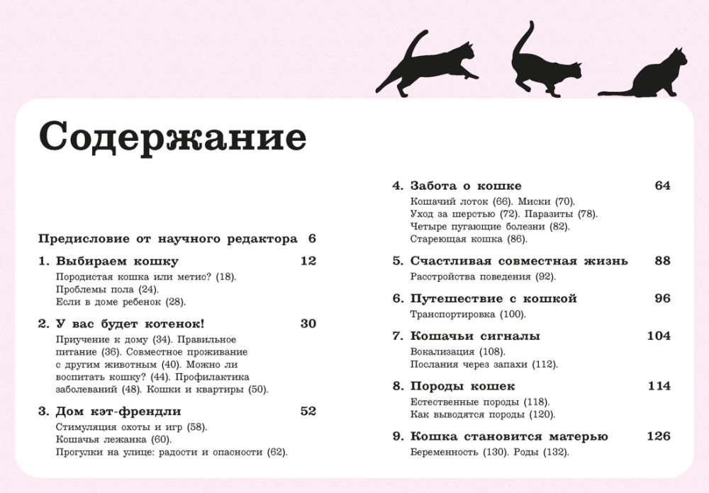 Petting! Feeding! Loving! A Purrfect Guide to a Happy Life with a Cat