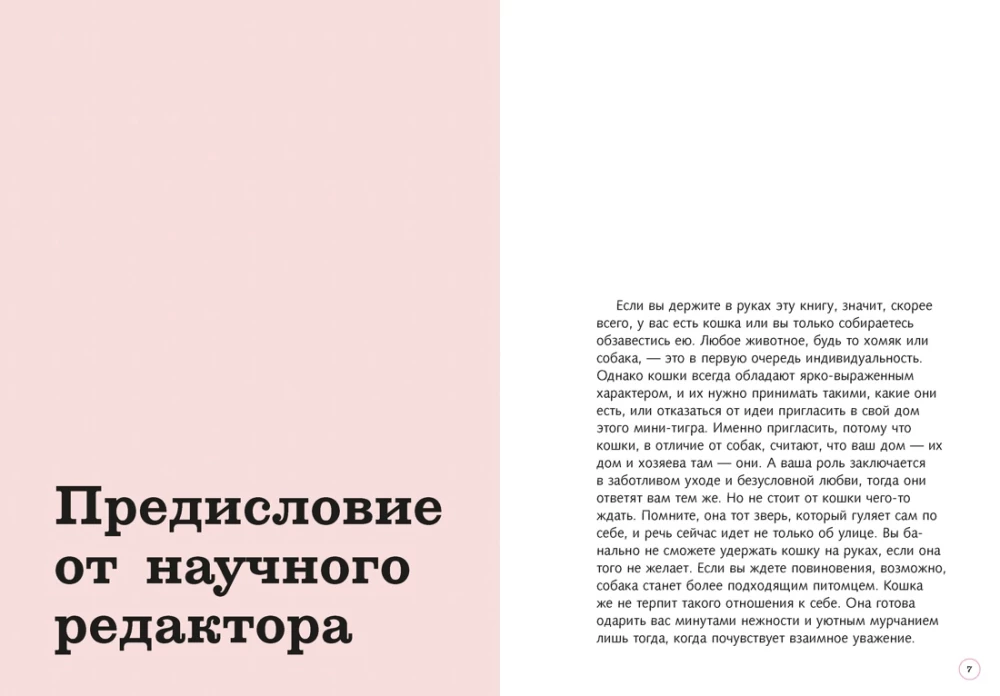 Petting! Feeding! Loving! A Purrfect Guide to a Happy Life with a Cat