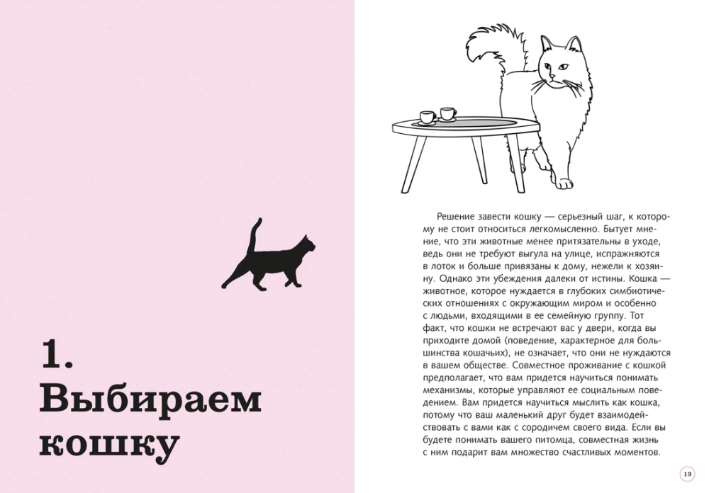 Petting! Feeding! Loving! A Purrfect Guide to a Happy Life with a Cat