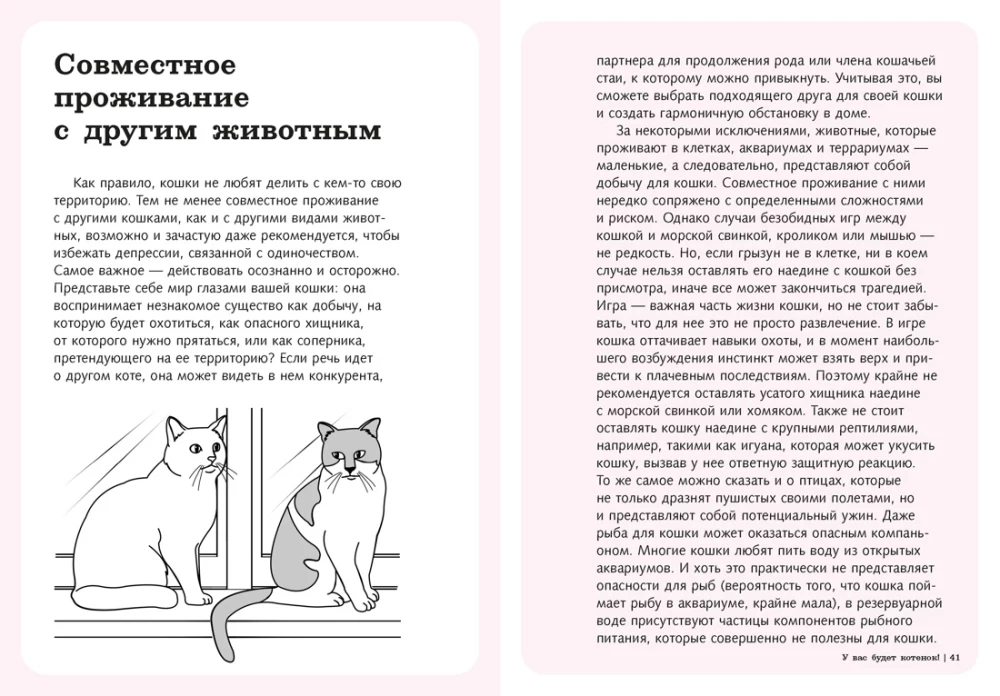 Petting! Feeding! Loving! A Purrfect Guide to a Happy Life with a Cat