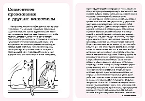 Petting! Feeding! Loving! A Purrfect Guide to a Happy Life with a Cat