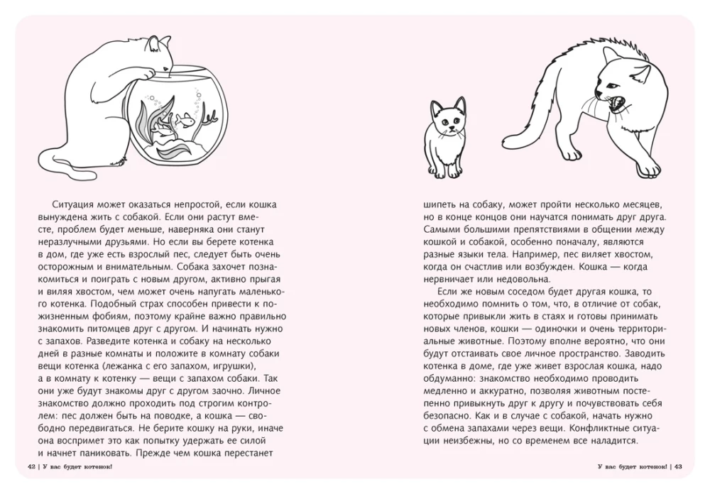 Petting! Feeding! Loving! A Purrfect Guide to a Happy Life with a Cat
