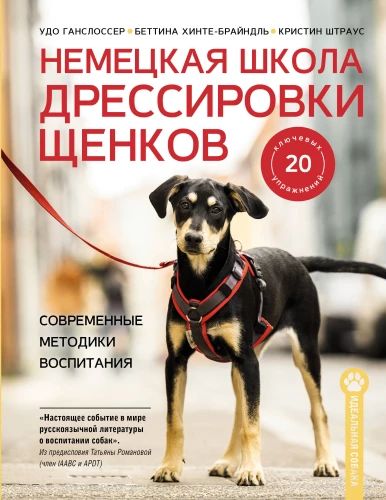 German Puppy Training School. Modern Education Methods