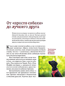 German Puppy Training School. Modern Education Methods