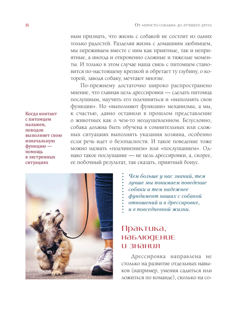 German Puppy Training School. Modern Education Methods