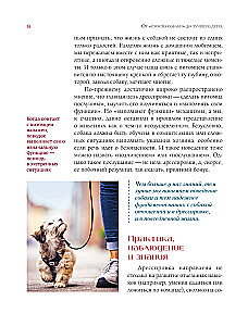 German Puppy Training School. Modern Education Methods