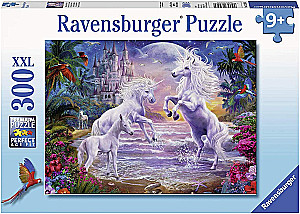 Dėlionė 300 - Vienaragio rojus