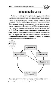 Bountiful Garden in Eight Steps