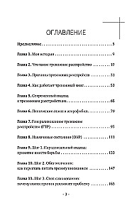 Der ängstliche Mensch. Methoden der KVT und RET für ein ruhiges Leben ohne Panikattacken, Angst und falsche Ängste