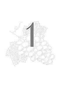 You are like wine — only better with age